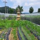 소양강자전거길 이미지