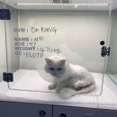 메이 동물병원 이미지