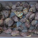 해물포차 이미지