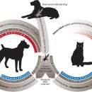 나눔온누리약국 이미지