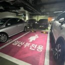 송도건강생활지원센터 | 송도건강생활지원센터 임산부 등록, 임신 초기검사&amp;비타민D 검사 비용, 후기(인천 연수구 임신축하물품...