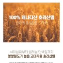 닥터비스 네이버블로그