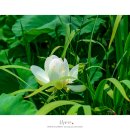 배다리한증막 이미지