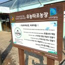 삼성농장 | 파주 우농타조농장