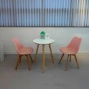 미대언니들 애견샵 | 대구 브라질리언 왁싱 추천｜미대언니 빠르고 깔끔한 찐후기