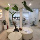 레푸스연신내점 이미지