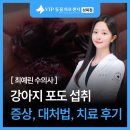 태양 동물병원 | 성북구 동물병원 강아지 포도 섭취 증상 대처, 치료 후기
