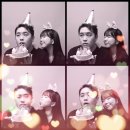 서울 셀프사진관 오디티모드 신라스테이 마포점 백꼬미 생일기념 사진촬영