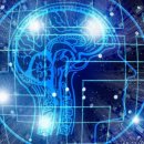 (주) 와이브레인 이미지