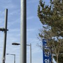 서래로2길 39 | 겨울 군산 1박2일 먹방 여행 (장미칼국수, 마리서사, 심리서점 쓰담, 이성당, 작은 고집, 순돌이곱창...