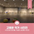 패랭이꽃의 저항 | 군산 예술의전당 - 사진인생 35년을 기념한 고병훈 작가 사진전