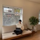 웃더럭민박 | Where I Stayed 1 - 제주도 애월 독채민박 숙소 추천 :: 웃더럭민박 자세한 후기