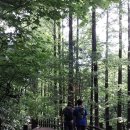 청계 맑은숲공원 이미지