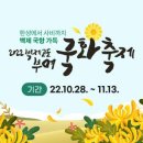 부여꽃