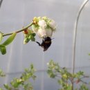 영풍농장 이미지