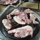고향석쇠숯불막창