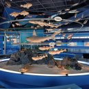 민속전시관 이미지