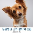 강북24시 N동물의료센터 이미지