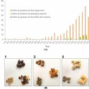 KNP 인터네셔널 이미지