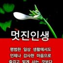 멋진인생 이미지