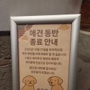 두두당 | [대전/대청호] 야경 끝판왕, 한옥 카페 '두두당' 내돈내산 후기