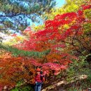 10월26일(토)도봉산 🍂🍁단풍 이미지