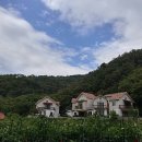 아트루 | [10년 전 오늘] <펜션> 청평 아트루펜션 리뷰!