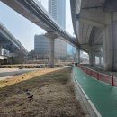 월곡역 입구(교차로) Daum카페