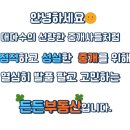 동해선거제해맞이역 이미지