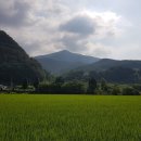 송천1리 마을회관 이미지