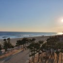 낙산7호넷비치 이미지