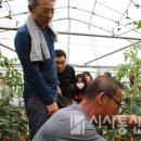 한마음토마토농장