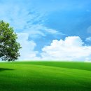 초원사진 이미지