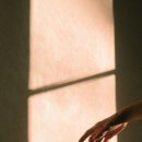 매일 쓰기의 힘 나만의 일기 이미지