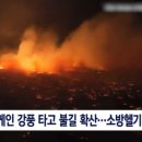 도라통신