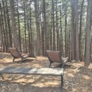 잣나무약수터 이미지