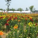 남면중학교 이미지