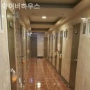 아이비 하우스 이미지