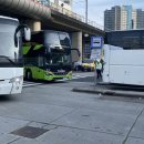싱싱프루츠신도시점 | 학탐 04: 단기속성 유럽여행 | 벨기에 브뤼셀 flixbus 벨기에 맛집 파스타 피자 마트 구경