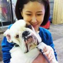 봉구 이미지