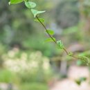 남경오토 이미지