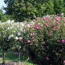 평화공원 내 이미지