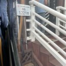 함양-8 | [경남 함양] 대봉산휴양밸리 모노레일 탑승후기