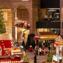 파라다이스-I 이미지