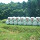 원그린목장 이미지