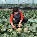 다성농장 이미지