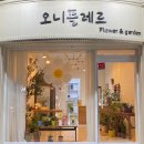 오니플레르