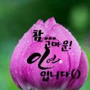 좋은인연 이미지