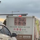 [🇰🇷]제주 여행기(24.12.27-24.12.29)