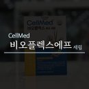 셀메드큰사랑약국 이미지